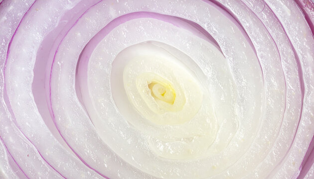 Close-up Macro View of Red Onion Slices