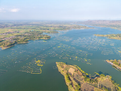 Discover A picturesque lake adorned with floating green fields surrounded by lush landscapes at Waduk Karangkates