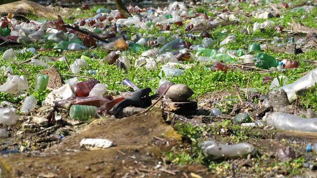 Many plastic bottles lying on green lawn at forest. Trash is dumped in open and freely available places at nature. Global environmental pollution problem. Concept of ecological disaster. Slow motion