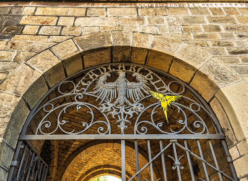 Aachen, Germany, Europe - July 29, 2026: The City's Coat of arms above entrance of Grashaus, on the fish market. It was the first town hall of the city. The Gras was a medieval village green where exe