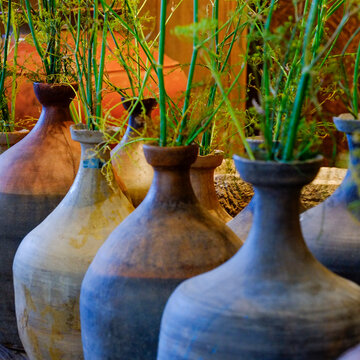 Row of ceramic vases with green plants