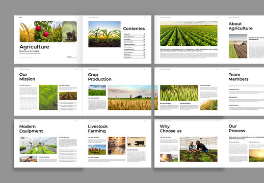 Agriculture Brochure Template Design