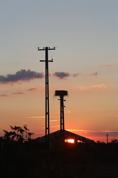 Empty stork nest and old poles silhouetted beside an abandoned farm building as the sun sets