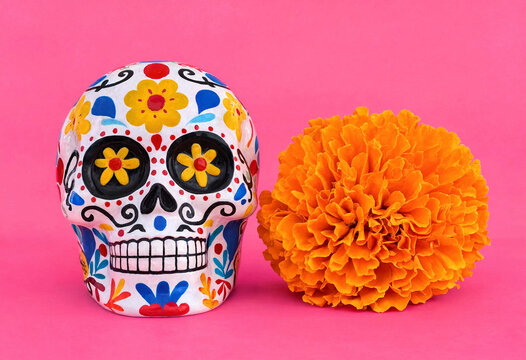 Decorative sugar skull and a single vibrant orange marigold flower placed side by side against a solid bright pink background for day of the dead celebration