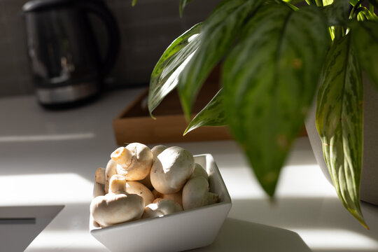 White button mushrooms are sitting in bowl on counter near green plant, sunlight casting shadows