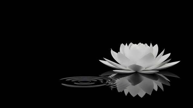 Serene white lotus flower floating on calm water with ripples against a dark background evoking peacefulness and tranquility in a simple elegant composition