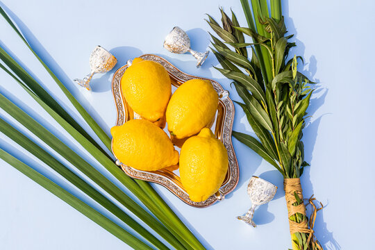 Four citrus etrog lying on a silver tray with an ornament among palm leaves, willow branches on a blue background. Sukkot holiday. Top view.