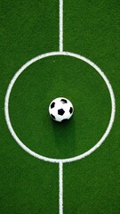Fototapeta premium Professional Soccer Ball Center Circle Top View