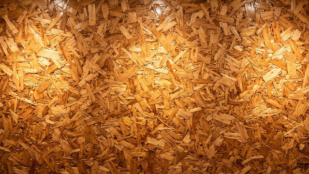 Rich Golden Wood Surface with Refined Natural Grain