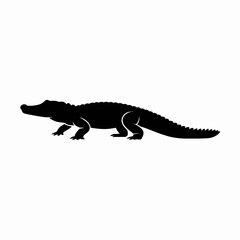 Fototapeta premium lizard isolated on white