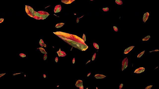 Colorful autumn maple leaves falling on transparent alpha channel background. Halloween fall season overlay animation for video compositing and decoration. Seamless loop 3d rendering animation.