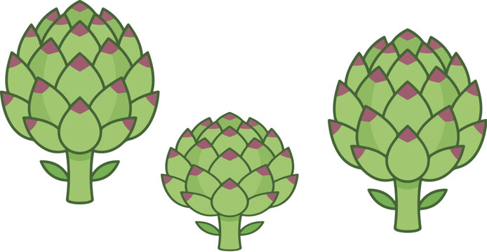 Fresh green artichoke vector set, flat cartoon artichoke vegetable icons, organic healthy food illustration for restaurant menus and grocery branding