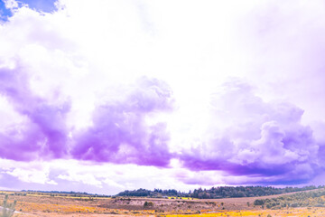 Soft purple and pink clouds drift across the sky above a wide rural field and distant forest horizon. © Dmitry