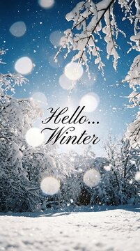 Hello winter text greeting over a snowy forest background with bokeh lights
