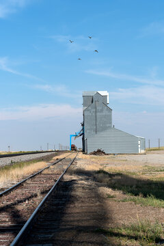 Vertical of grain elevator along railroad tracks with birds