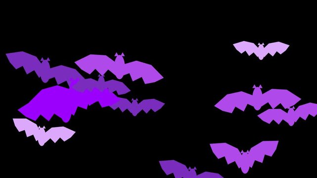 Purple cartoon bats flying across a black screen with an animated halloween graphic motion
