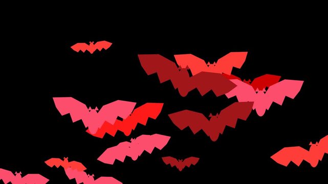Abstract red and pink bats flying across dark background dynamic motion graphic footage clip