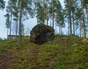 Huge mossy boulder in a northern pine forest © Михаил Шорохов