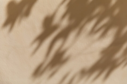 Blurred shadow of tree leaves fall across a light beige wall in bright sunlight. Minimalist botanical pattern, overlay effect, summer holiday relaxation, mediterranean vacation vibe.