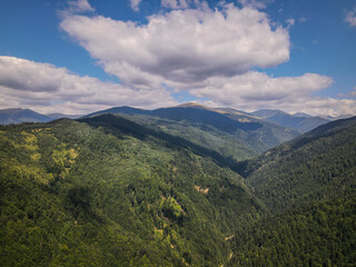 Fototapeta premium Aerial View of the Carpathian Mountains Forest Landscape Under Cloud-Dappled Sky