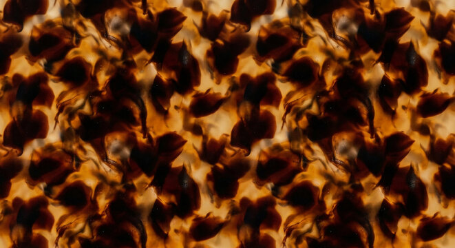 Dark Brown Amber Tortoiseshell Pattern Luxury Abstract Material Texture