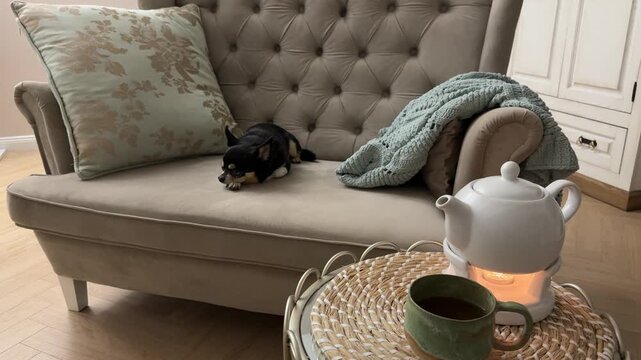 Cozy living room atmosphere with a small chihuahua dog sleeping on a velvet armchair next to a tea kettle on a candle warmer. Relaxing home interior scene in 4K vertical format.