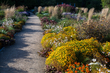 Obraz premium Gravel path winding through a botanical garden lined with colorful flowers and tall ornamental grasses.