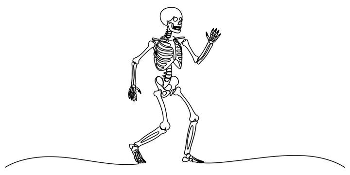 Human skeleton walking on a simple ground line drawing illustration isolated on transparent background