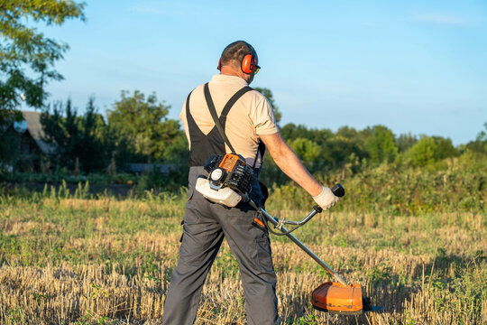 Back view of field worker using brush cutter in rural meadow, wearing safety earmuffs and work gloves. Gardener stands in warm daylight, cutting overgrown grass with steady concentration.