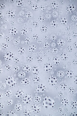 Close up of Black and White Abstract Water Drops on Glass Background © Anna Hoychuk