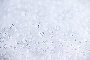 Close up of Black and White Abstract Water Drops on Glass Background © Anna Hoychuk