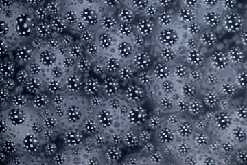 Close up of Black and White Abstract Water Drops on Glass Background © Anna Hoychuk