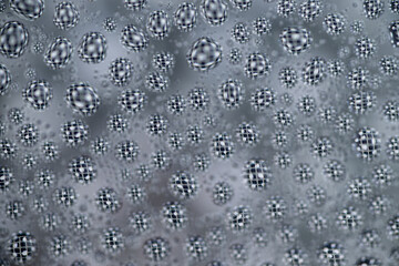 Close up of Black and White Abstract Water Drops on Glass Background © Anna Hoychuk