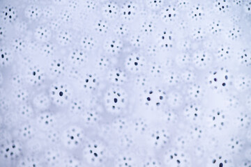 Close up of Black and White Abstract Water Drops on Glass Background © Anna Hoychuk