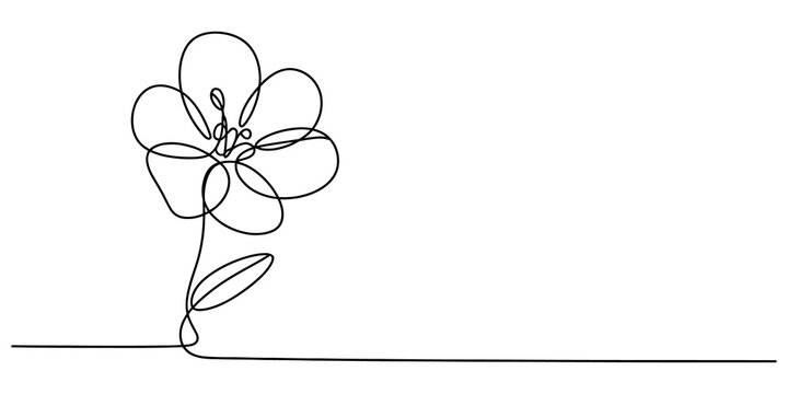 Beautiful single line drawing of a simple flower with petals and a leaf in a minimalist continuous stroke art style isolated on transparent background