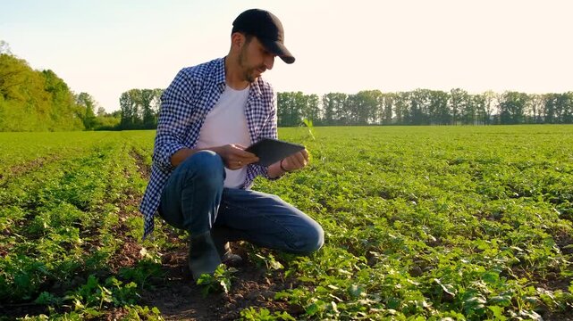 Farmer in the field. Selective focus.