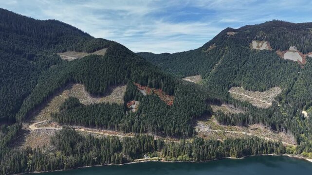 Aerial view of forested mountains and logging cutblocks in BC, Canada