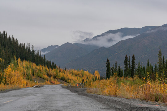 Fall colors of trees on side of frost heave road with cloudy sky and mountains in background