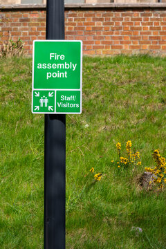 Green fire assembly point sign on black pole, grass and brick wa