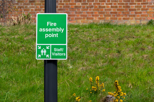 Green fire assembly point sign on black post, grassy bank