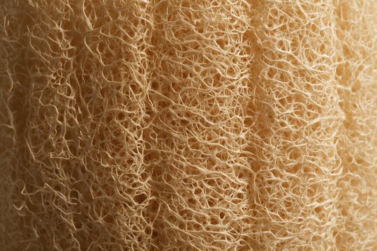 Dried natural loofah sponge fiber texture macro tileable