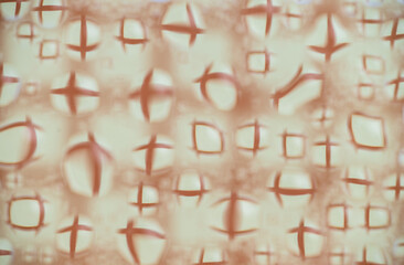 Close up of Orange and White Abstract Water Drops on Glass Background © Anna Hoychuk
