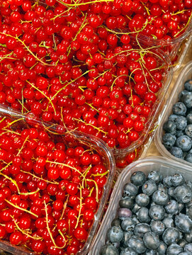Red currants and blueberries on a supermarket counter create a vibrant display of fresh berries valued for vitamins, antioxidants and natural dietary fiber