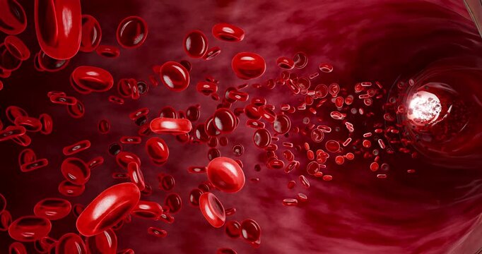 Realistic closeup of red blood cells inside vascular system for medical studies, biotech education, and scientific analysis of human blood flow and circulation, 3D Rendering
