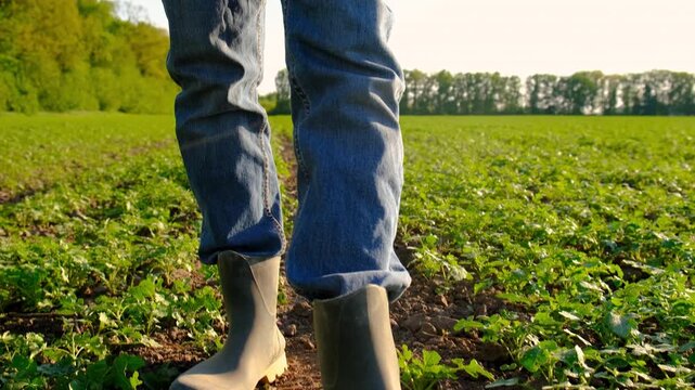 Farmer in the field. Selective focus.