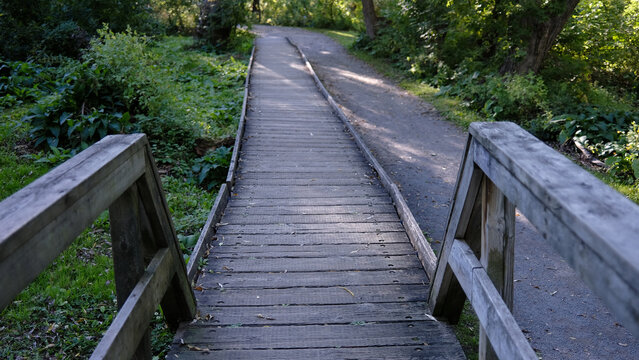 trottoir de bois dans un parc bois&eacute;	
