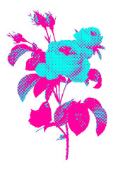 Obraz premium Hand drawn funky english rose halftone style sticker overlay