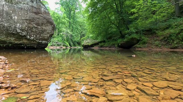 Surface-level view of a peaceful stream at Bell Smith Springs in Shawnee National Forest. Highlights clear water, lush forest canopy, and dramatic rock cliffs.