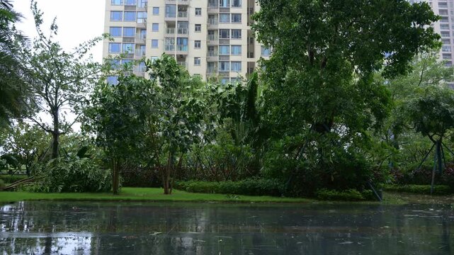 Residential community garden after typhoon with light wind and drizzling rain and broken tree video with sound