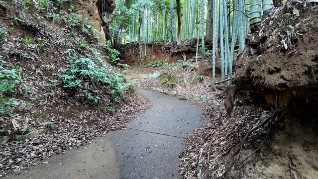小野路の関屋の切り通し - 東京都町田市, 日本